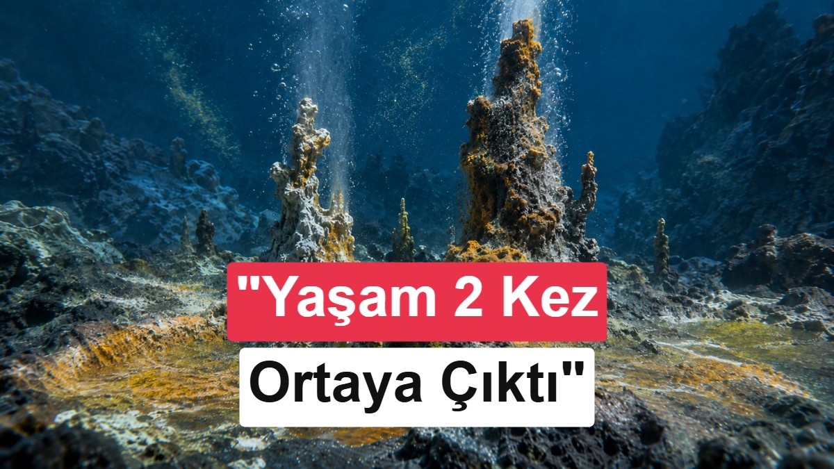 Ezber bozan araştırma: Dünya’da yaşam iki kez ortaya çıktı